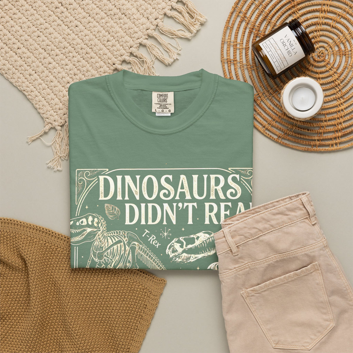 Dinosaurs Didn't Read Comfort Colors® Shirt, Funny Book Lover Tee, Dinosaur Teacher Shirt