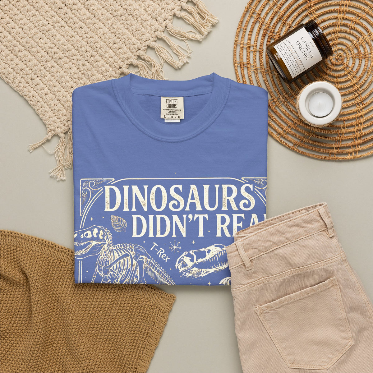 Dinosaurs Didn't Read Comfort Colors® Shirt, Funny Book Lover Tee, Dinosaur Teacher Shirt