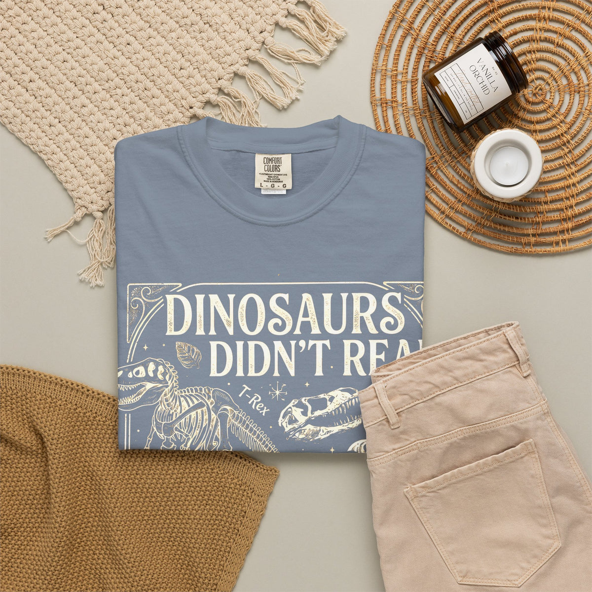 Dinosaurs Didn't Read Comfort Colors® Shirt, Funny Book Lover Tee, Dinosaur Teacher Shirt