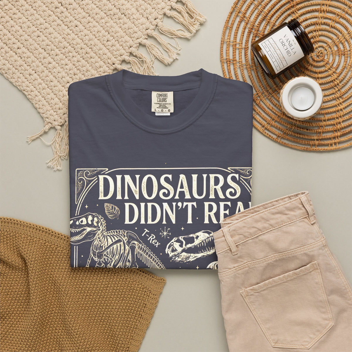 Dinosaurs Didn't Read Comfort Colors® Shirt, Funny Book Lover Tee, Dinosaur Teacher Shirt