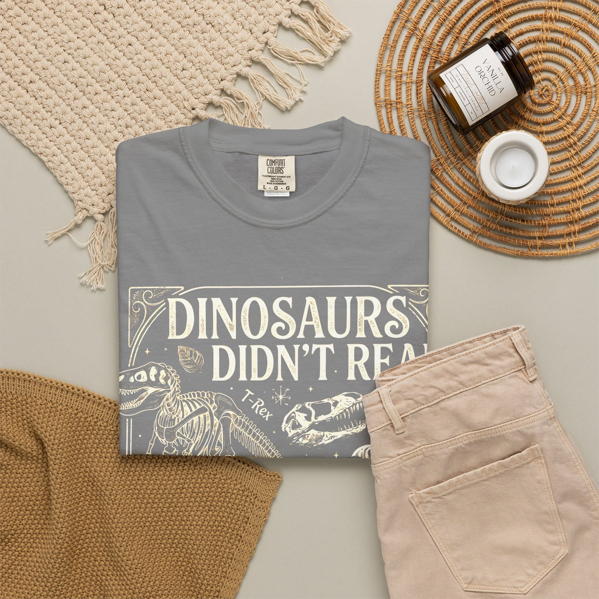 Dinosaurs Didn't Read Comfort Colors® Shirt, Funny Book Lover Tee, Dinosaur Teacher Shirt