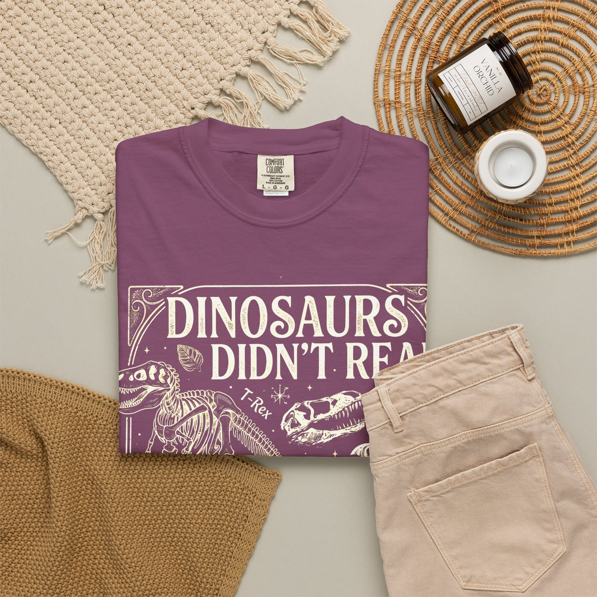 Dinosaurs Didn't Read Comfort Colors® Shirt, Funny Book Lover Tee, Dinosaur Teacher Shirt