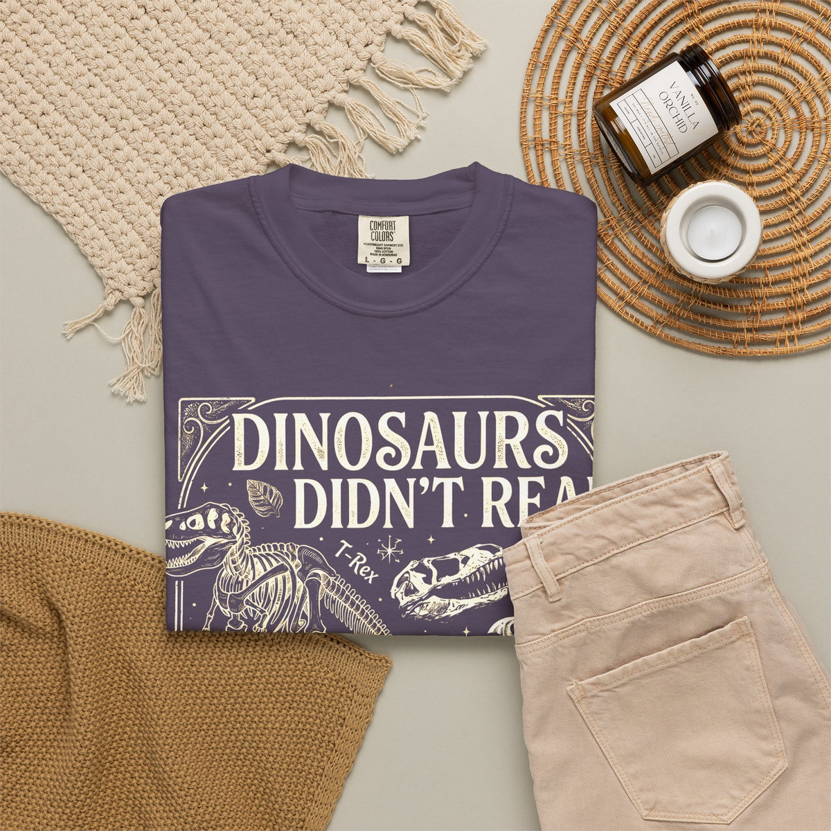 Dinosaurs Didn't Read Comfort Colors® Shirt, Funny Book Lover Tee, Dinosaur Teacher Shirt